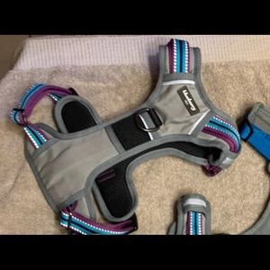 Gently used medium blueberry pet dog harness